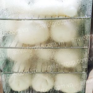 Tủ máy hấp nóng giữ nhiệt trưng bày bảo quản bánh bao mini để bàn An Việt